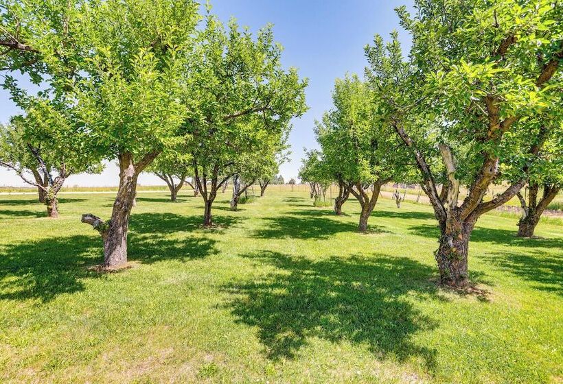 Mtn Views & Fire Pit: Charming Dolores Home