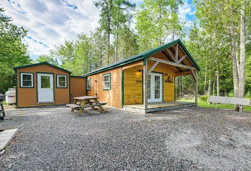 Harrington Cabin W/ Grills   Near Beaches & Hiking