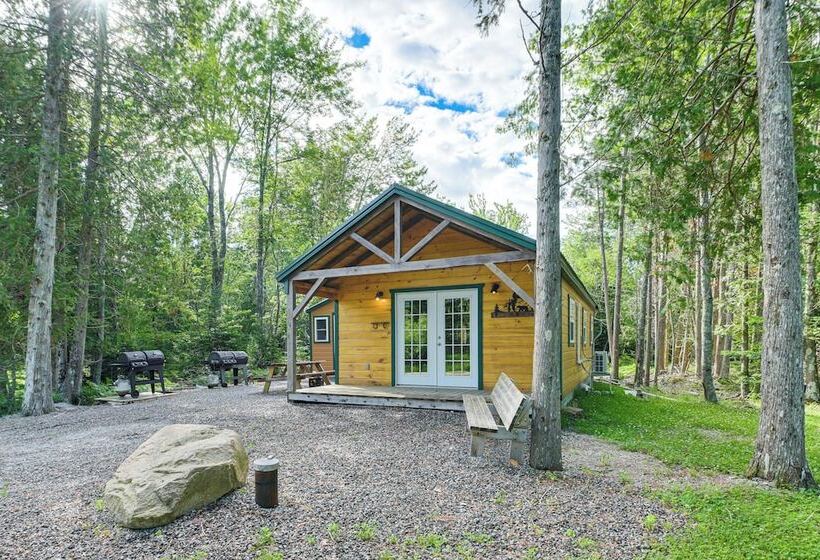 Harrington Cabin W/ Grills   Near Beaches & Hiking