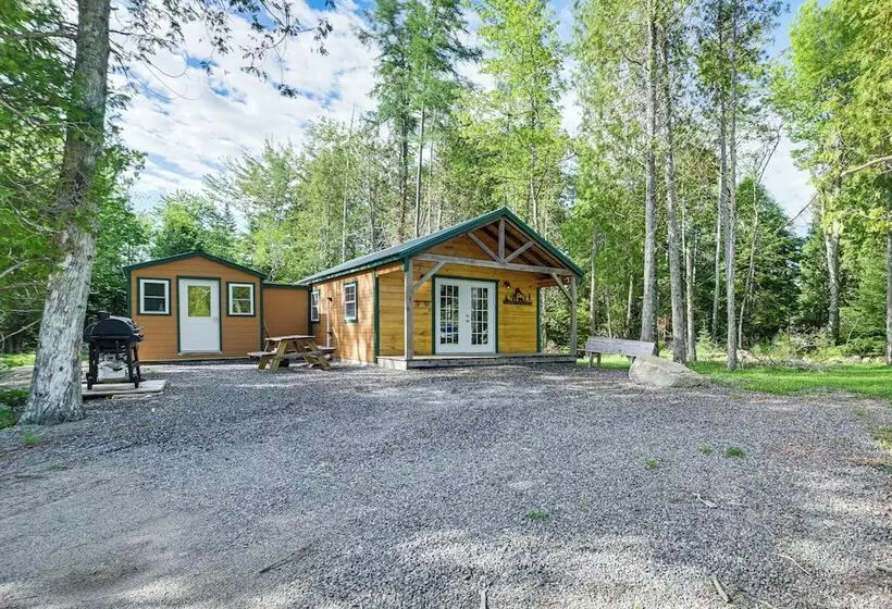 Harrington Cabin W/ Grills   Near Beaches & Hiking