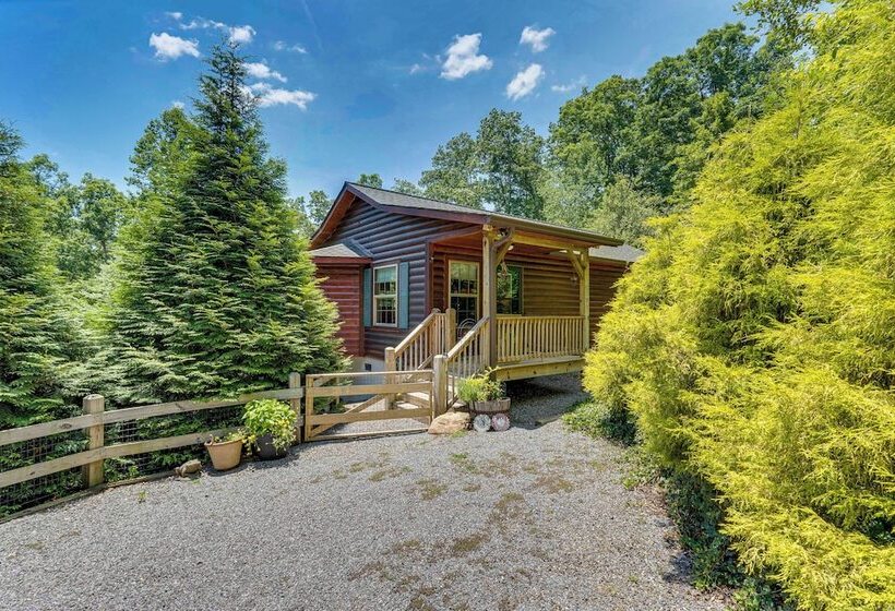 Peaceful Murphy Cabin W/ Fire Pits & Forest Views!