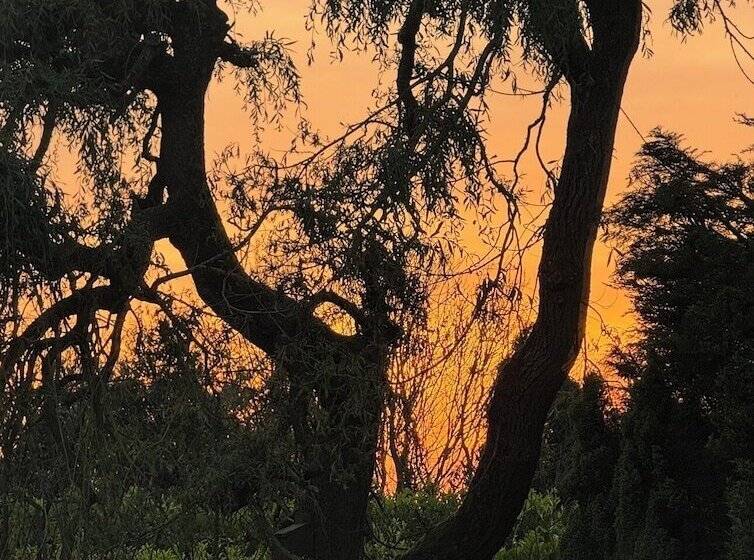 레지던스 Tranquil Retreat At Oak Lodge   Swimming Pool