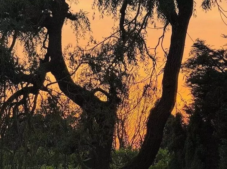 レジデンス Tranquil Retreat At Oak Lodge   Swimming Pool