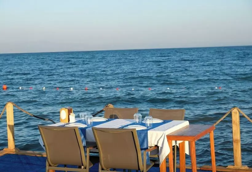 Aamiaismajoitus (B&B) Gargaron Beach