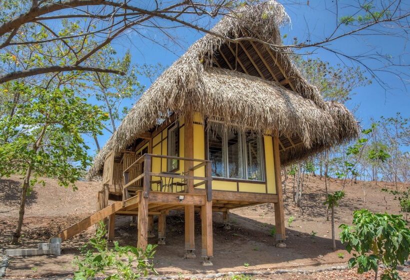 Отель Eco Venao