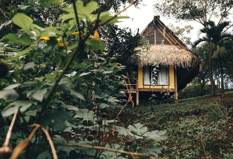 Отель Eco Venao