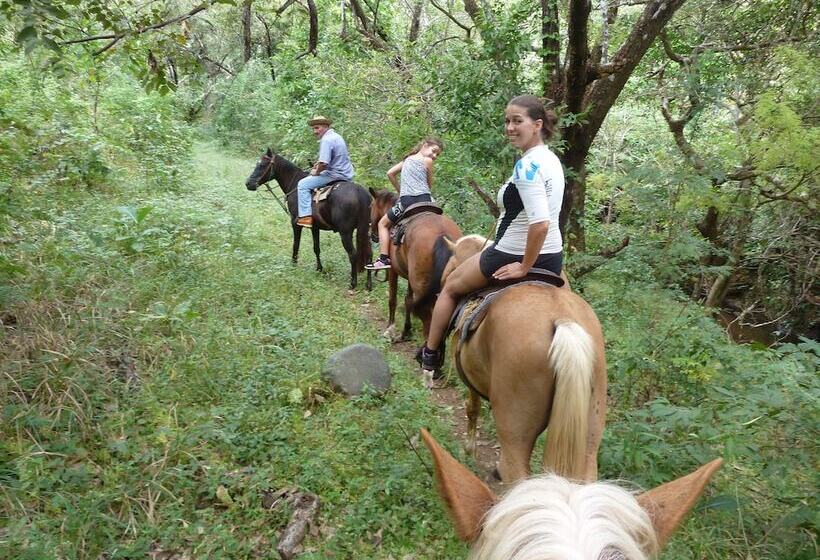 Отель Eco Venao