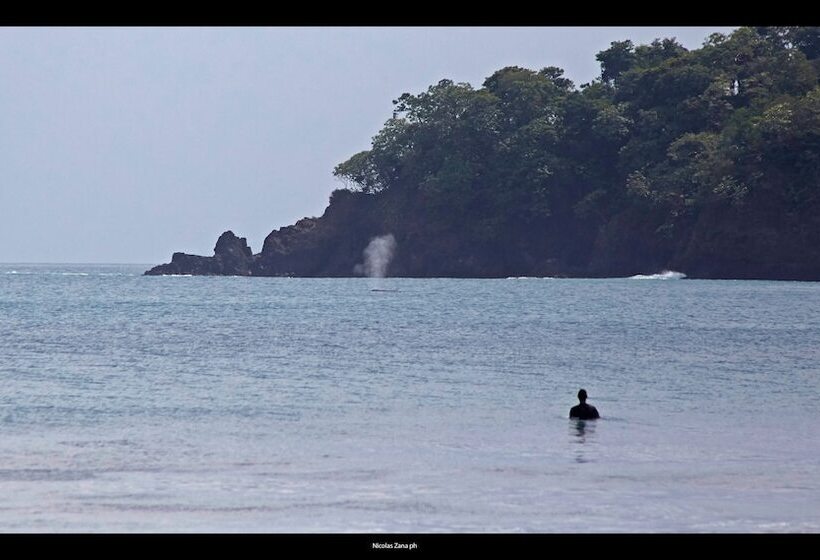 Отель Eco Venao