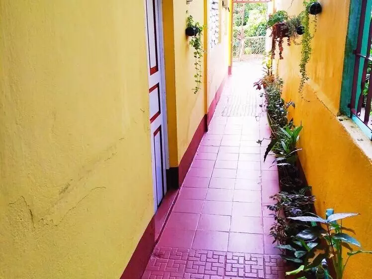 ホテル Apartamentos Mirador El Yunque