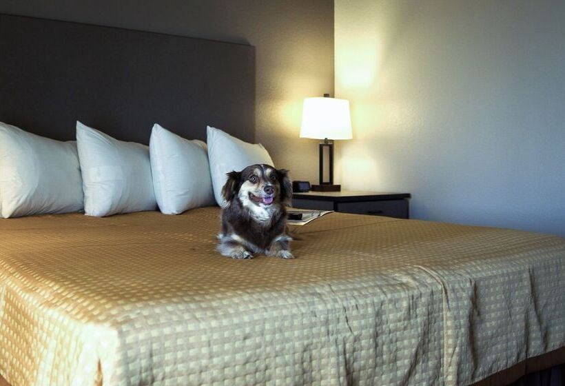 호텔 The Lodge At Moorcroft