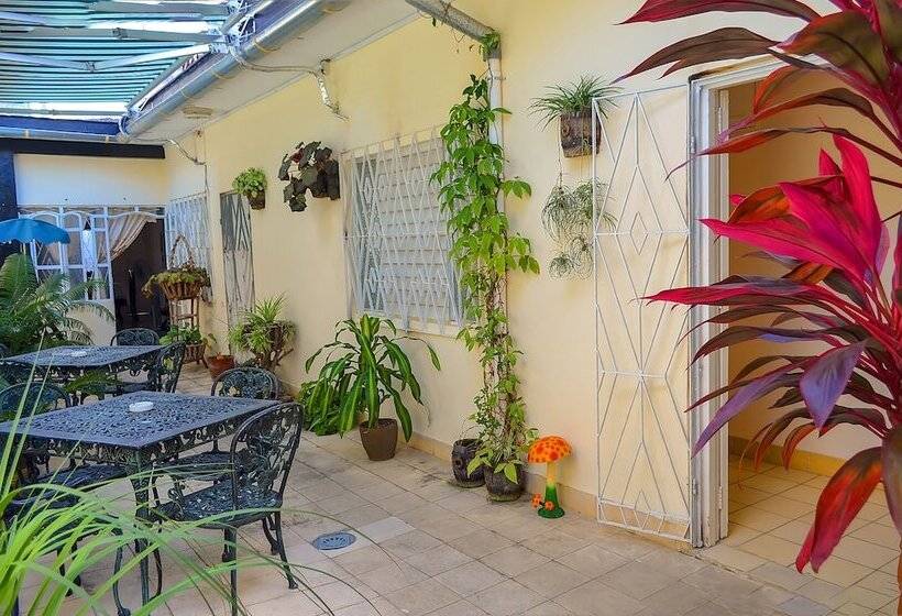 پانسیون Hostal Ebano Y Marfil