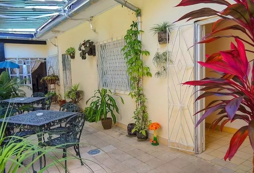 ペンション Hostal Ebano Y Marfil