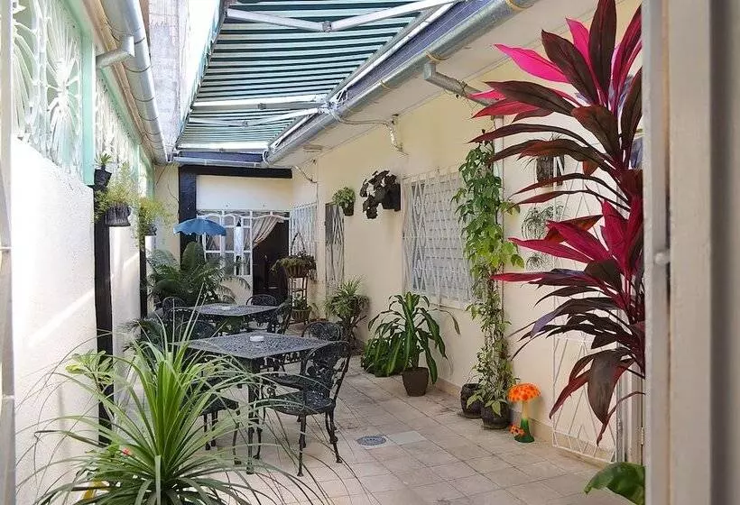 ペンション Hostal Ebano Y Marfil