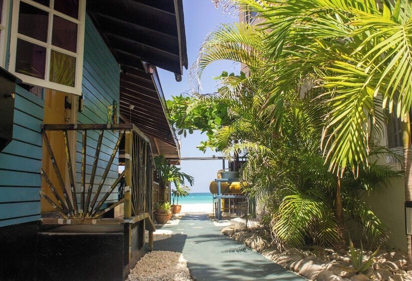 پانسیون Moms Place Negril