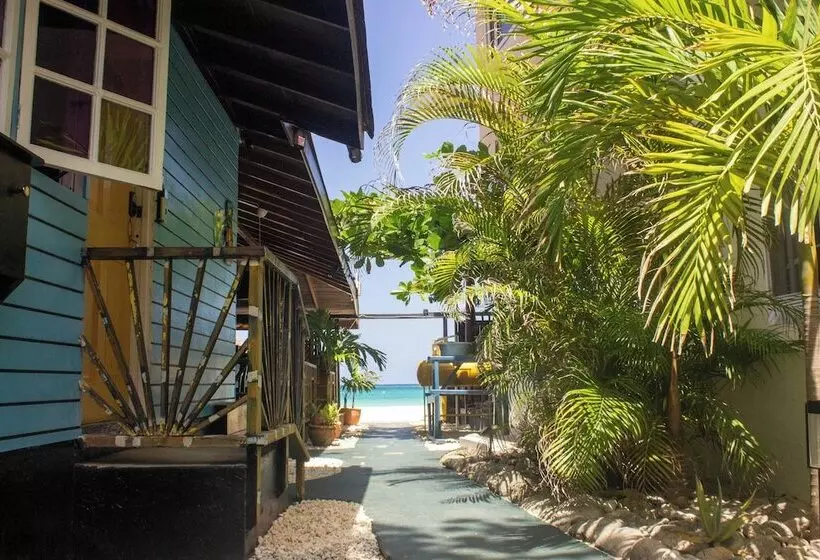 پانسیون Moms Place Negril