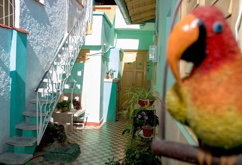 Hostal Cuba 215