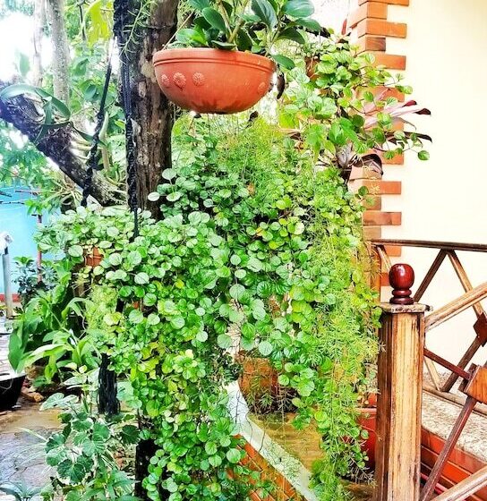 پانسیون Casa La Cabana Obel & Yoly