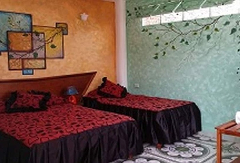 Pansiyon Hostal Girasol