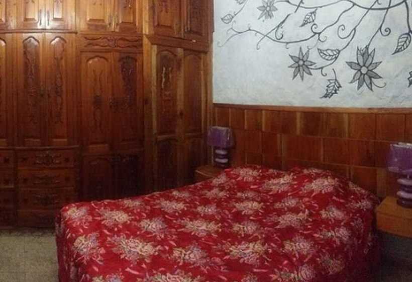 Pansiyon Hostal Girasol