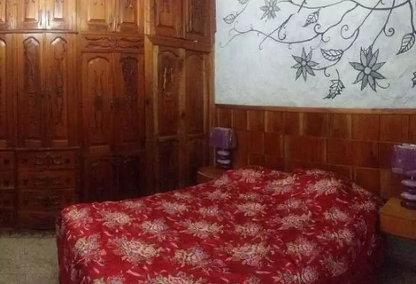 ペンション Hostal Girasol