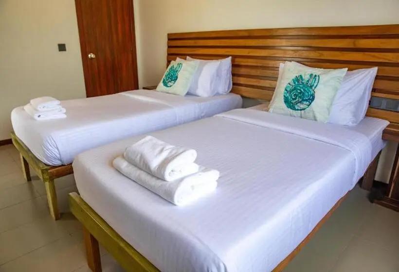 تختخواب و صبحانه Maldivine Stay Dhiffushi