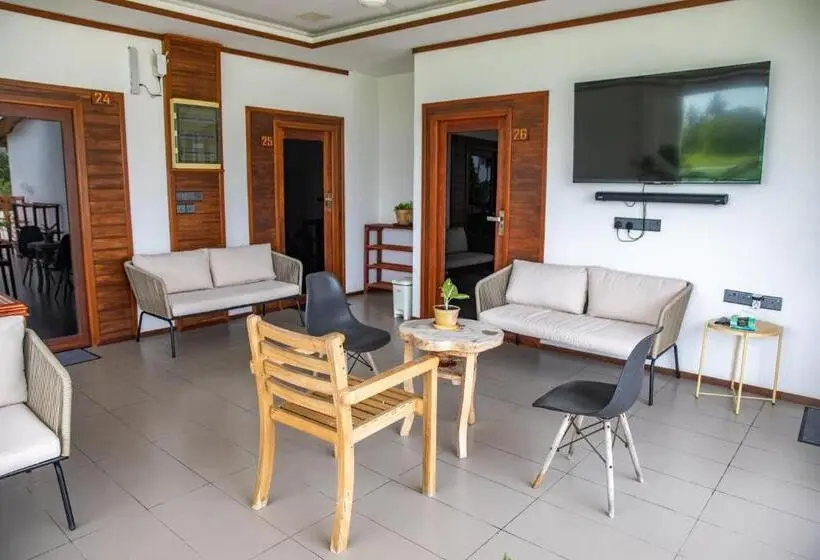 تختخواب و صبحانه Maldivine Stay Dhiffushi