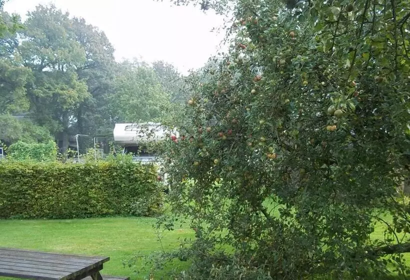 B&b Slaoperij