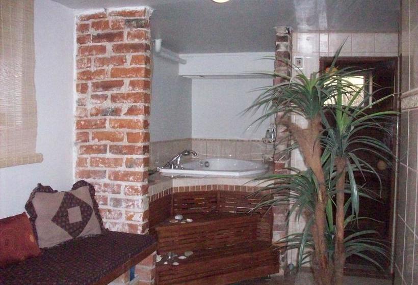 住宿加早餐  Brinkin Wanha Pappila