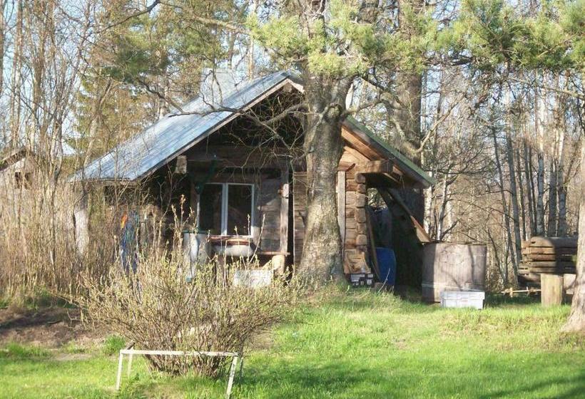 住宿加早餐  Brinkin Wanha Pappila