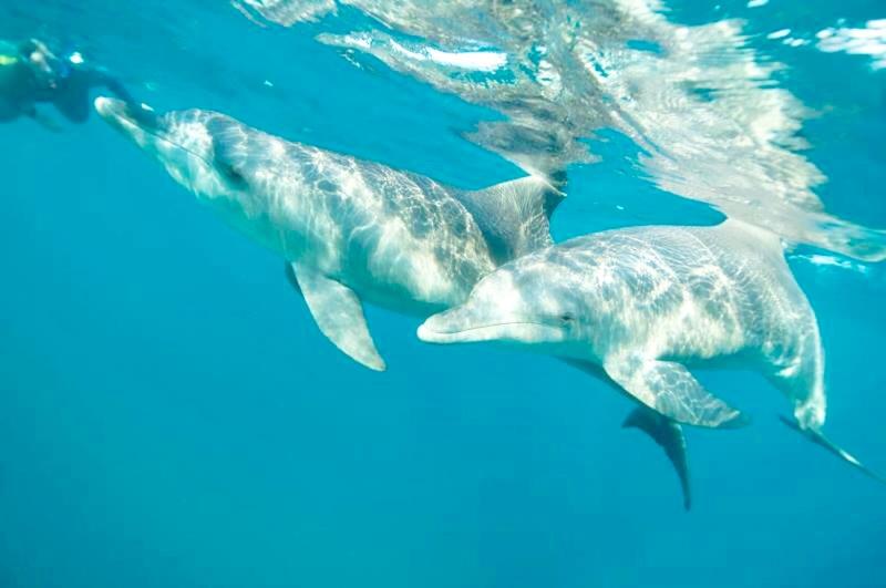 호텔 Promised Land Lodge