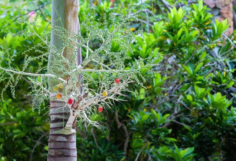 فندق Seasons Lodge Zanzibar