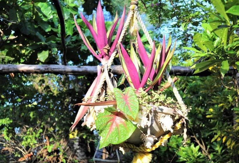 فندق Seasons Lodge Zanzibar