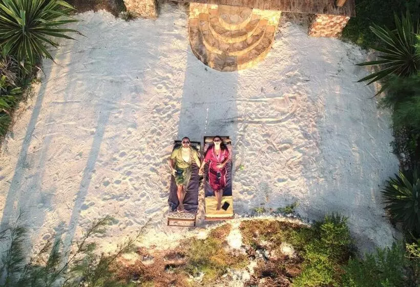 ホテル Seasons Lodge Zanzibar
