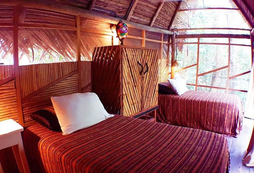 هتل Tortugal Boutique River Lodge