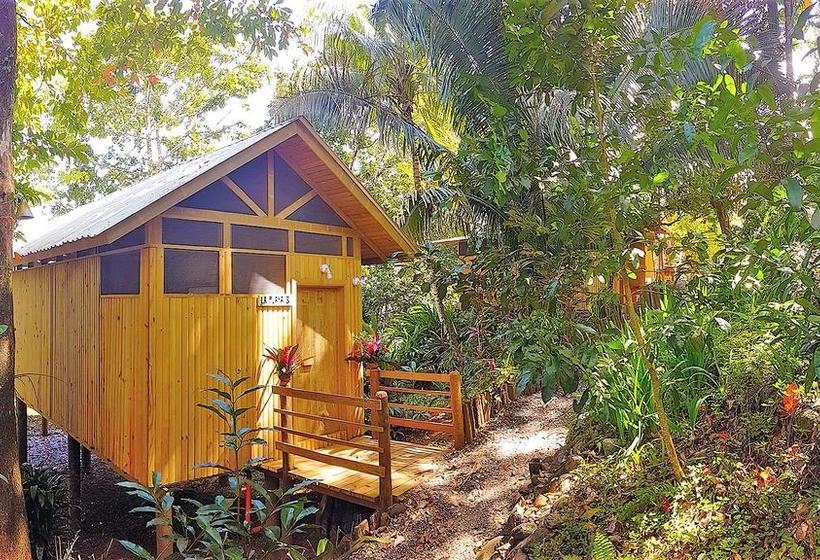 هتل Tortugal Boutique River Lodge