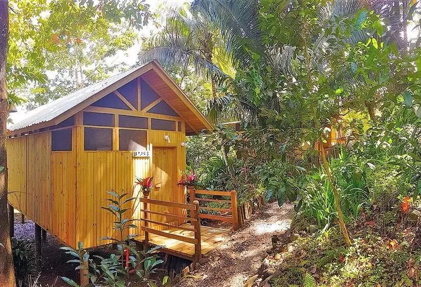هتل Tortugal Boutique River Lodge