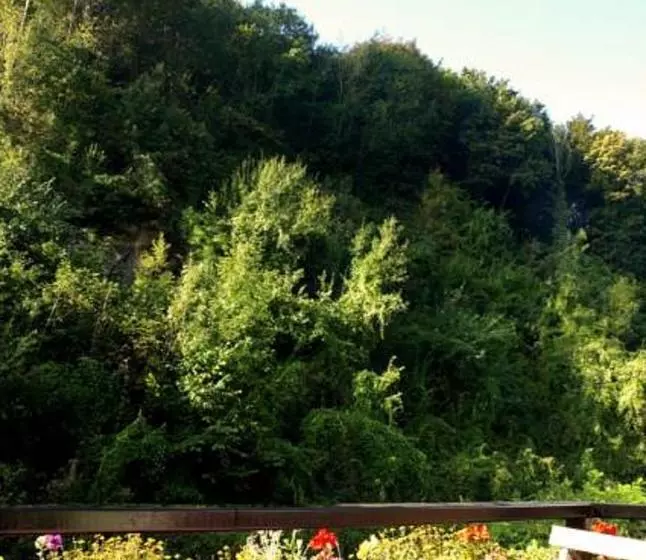 Hotelli Villa Warempel