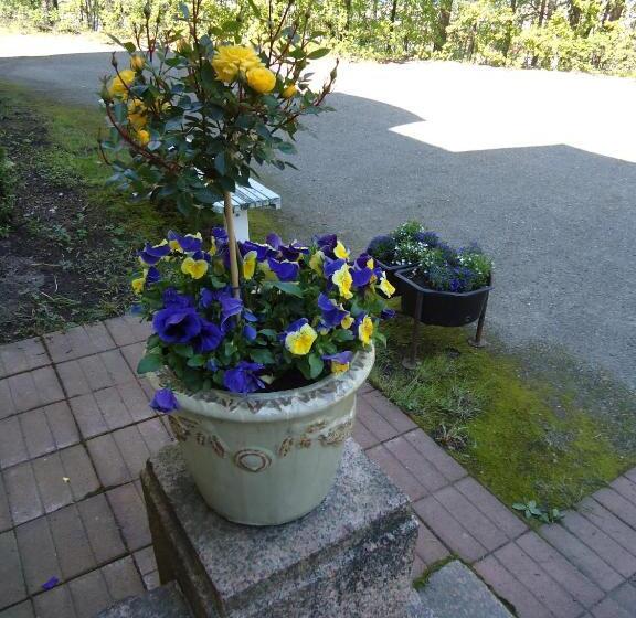 Mäntyluodon Hotelli