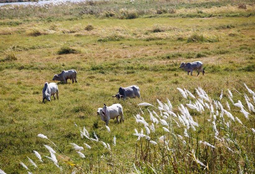 استراحتگاه Inle Heritage Stilt Houses