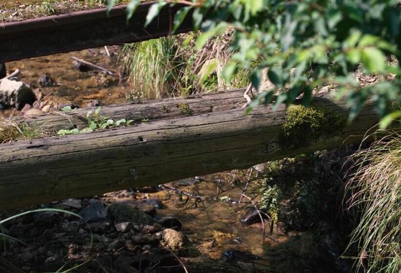 ריוקאן Kouragi