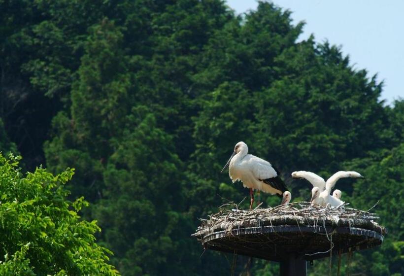 ריוקאן Kouragi