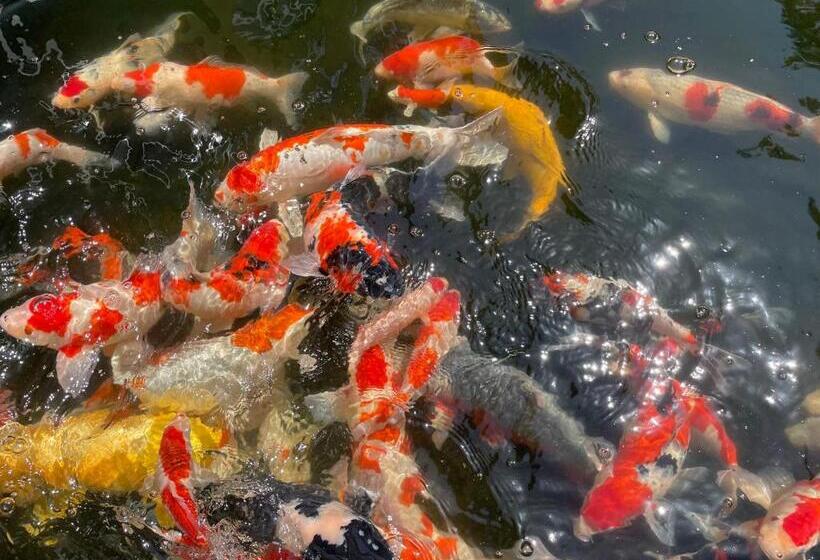 ריוקאן Kouragi