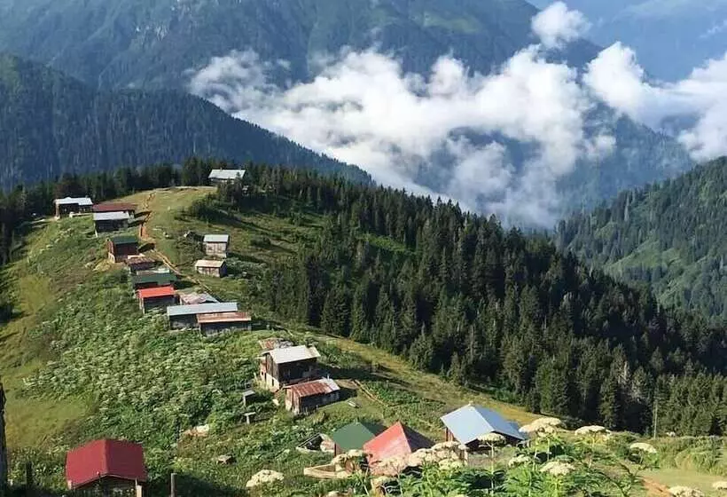 Evaland Glamping Resort