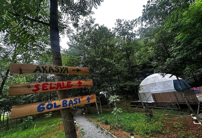 Evaland Glamping Resort