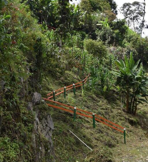 Kynzha Cañon Del Combeima