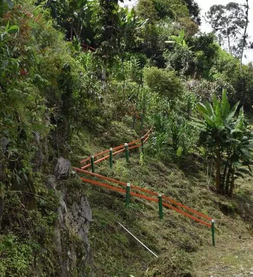 Kynzha   Cañon Del Combeima