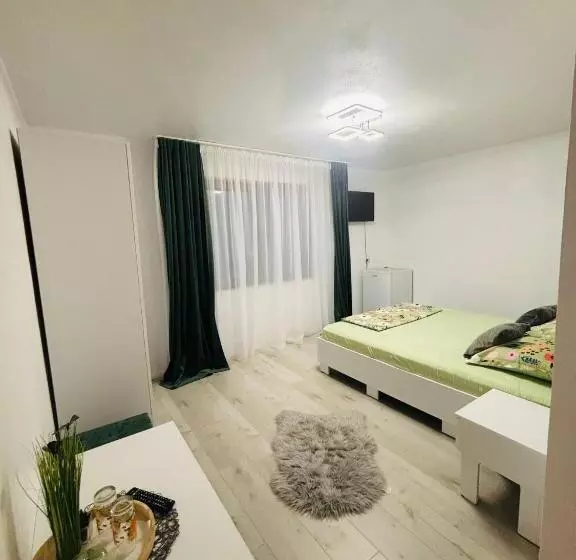 ペンション Casa Coman