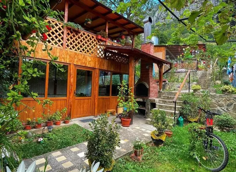 ペンション Casa Coman