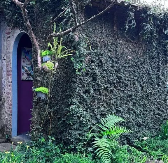 پانسیون De Yang House Sa Pa