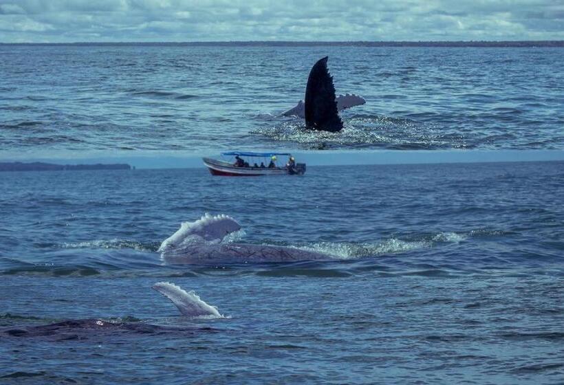 پانسیون Wira Hostal